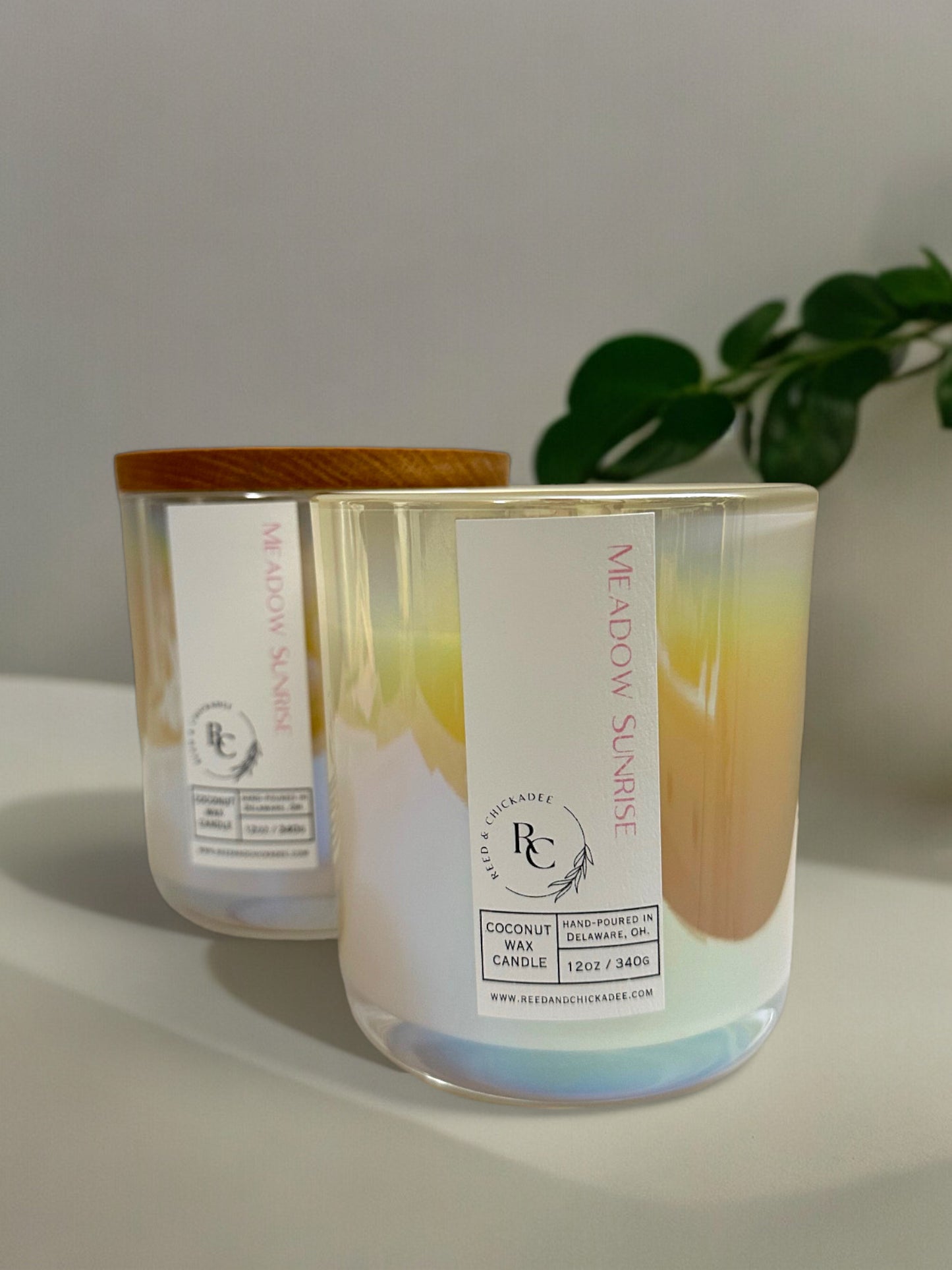 Meadow Sunrise 12oz Candle